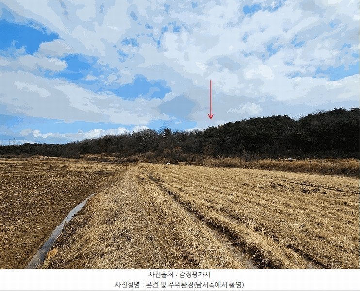 2025타경3559 경상북도 포항시 남구 대송면 대각리 산124 임야 경매 이미지