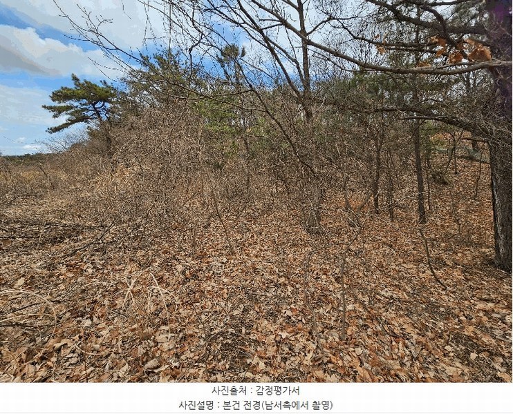 2025타경3559 경상북도 포항시 남구 대송면 대각리 산124 임야 경매 이미지