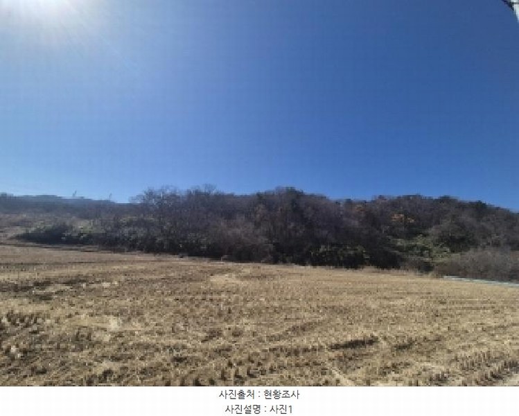 2025타경3559 경상북도 포항시 남구 대송면 대각리 산124 임야 경매 이미지