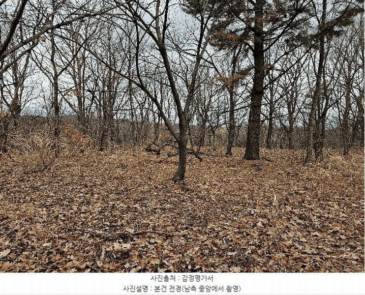 2025타경3559 경상북도 포항시 남구 대송면 대각리 산124 임야 경매 이미지