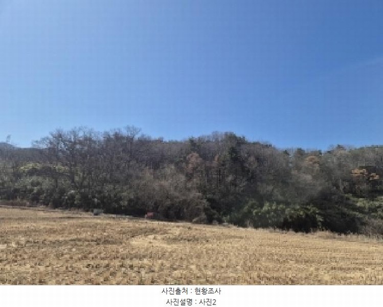 2025타경3559 경상북도 포항시 남구 대송면 대각리 산124 임야 경매 이미지