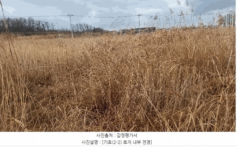 2025타경3606 경상북도 포항시 남구 동해면 신정리 519-5 농지 경매 이미지