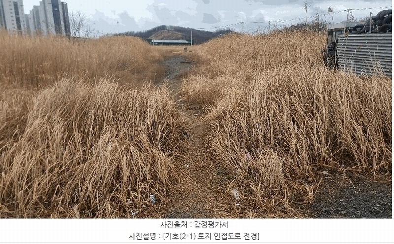 2025타경3606 경상북도 포항시 남구 동해면 신정리 519-5 농지 경매 이미지