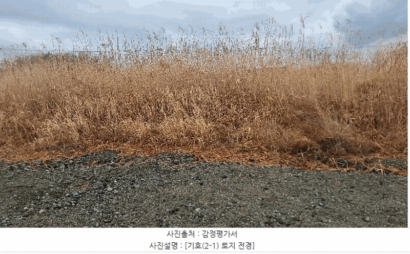 2025타경3606 경상북도 포항시 남구 동해면 신정리 519-5 농지 경매 이미지