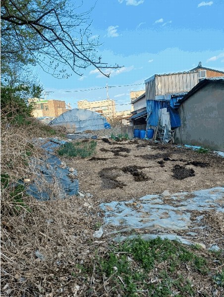 2025타경3687 경상북도 포항시 북구 청하면 덕성리 314 대지 경매 이미지