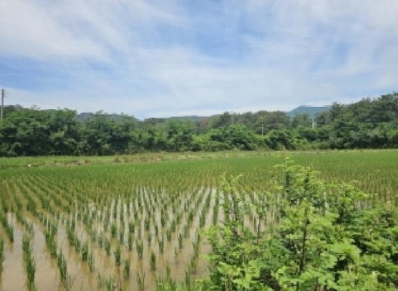 2025타경3836 경상북도 포항시 북구 신광면 우각리 978-2 농지 경매 이미지