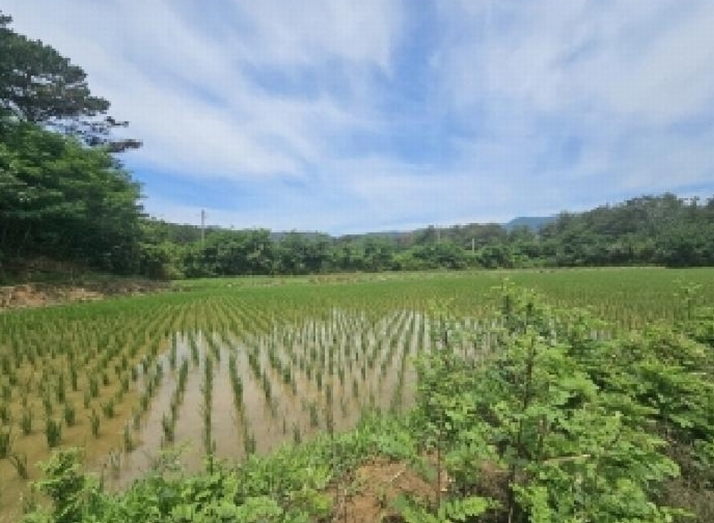 2025타경3836 경상북도 포항시 북구 신광면 우각리 978-2 농지 경매 이미지