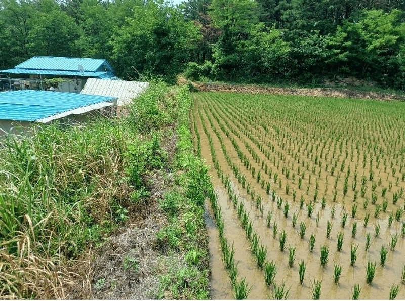 2025타경3836 경상북도 포항시 북구 신광면 우각리 978-2 농지 경매 이미지