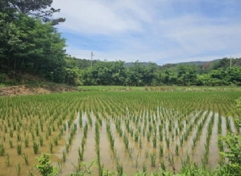 2025타경3836 경상북도 포항시 북구 신광면 우각리 978-2 농지 경매 이미지