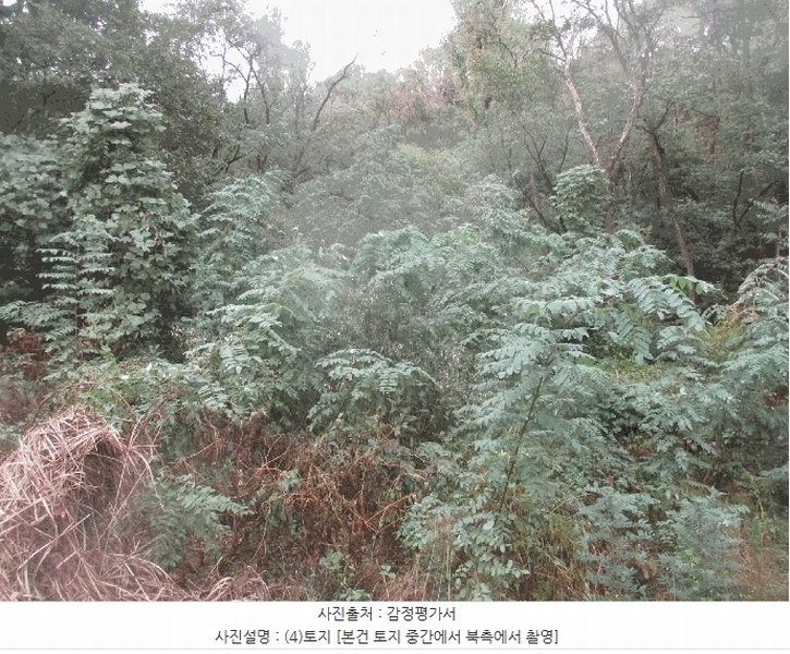 2025타경3931 경상북도 포항시 북구 신광면 안덕리 1012 농지 경매 이미지