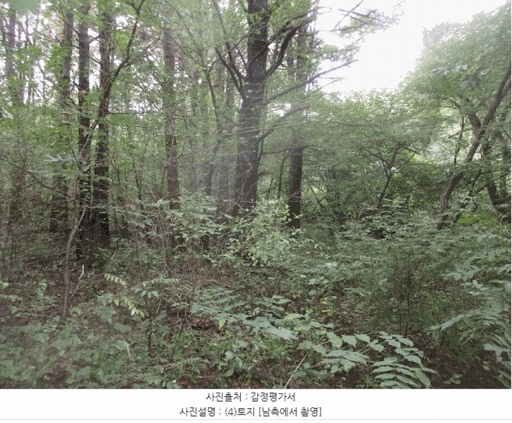 2025타경3931 경상북도 포항시 북구 신광면 안덕리 1012 농지 경매 이미지