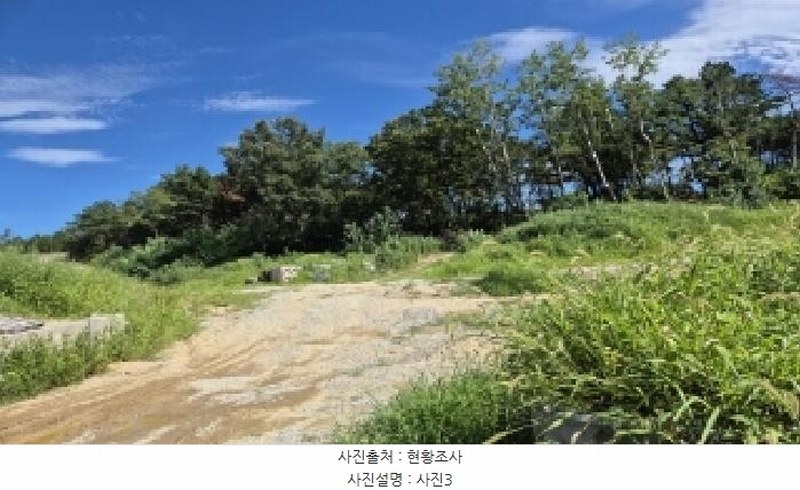 2025타경4007 경상북도 포항시 북구 청하면 미남리 145-30 임야 경매 이미지