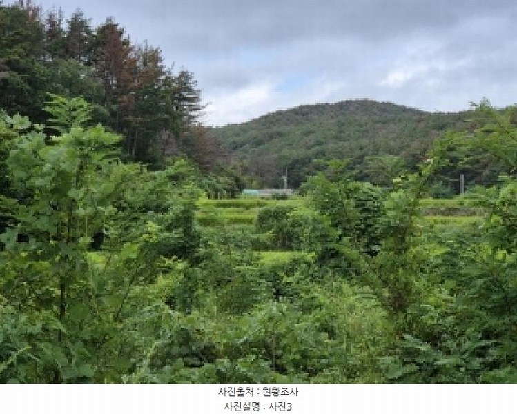 2025타경4022 경상북도 포항시 북구 청하면 고현리 762-1 농지 경매 이미지