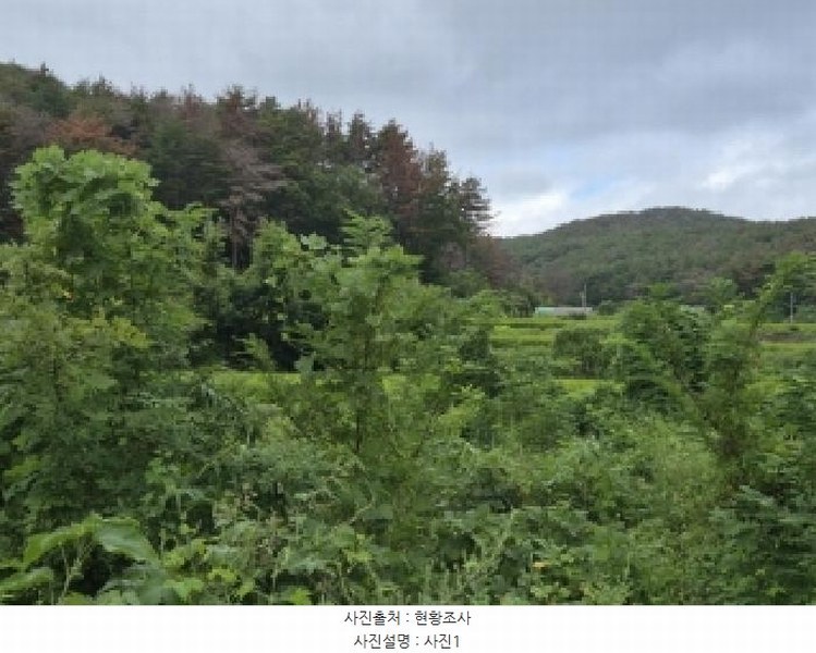 2025타경4022 경상북도 포항시 북구 청하면 고현리 762-1 농지 경매 이미지