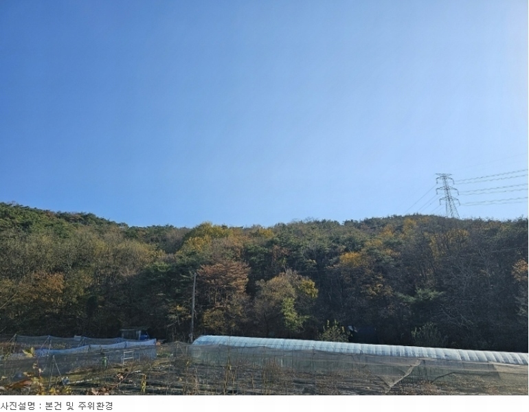 2023타경3859 경상북도 포항시 북구 신광면 냉수리 산88-1 임야 경매 이미지