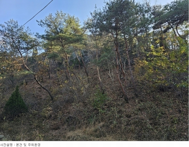 2023타경3859 경상북도 포항시 북구 신광면 냉수리 산88-1 임야 경매 이미지