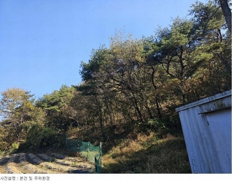 2023타경3859 경상북도 포항시 북구 신광면 냉수리 산88-1 임야 경매 이미지