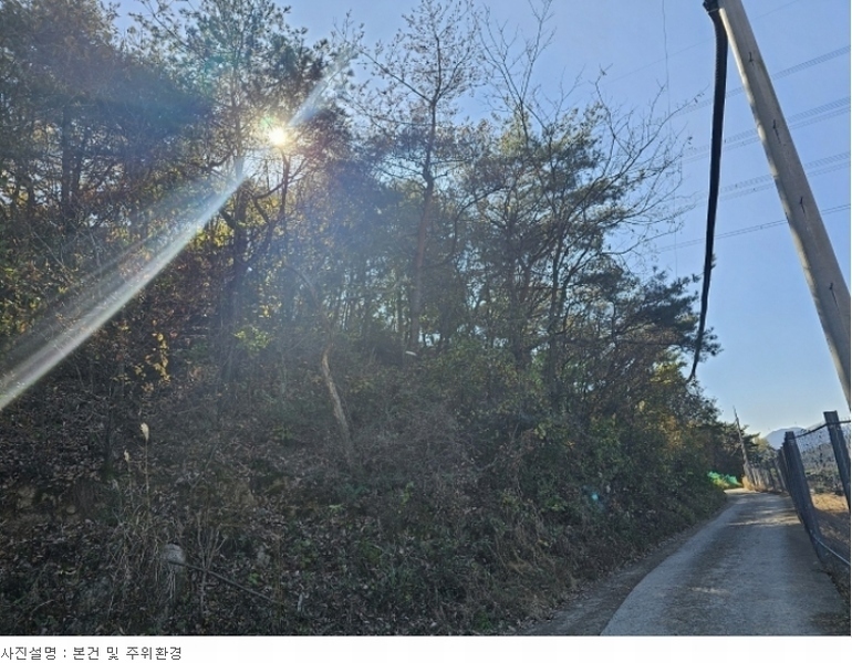 2023타경3859 경상북도 포항시 북구 신광면 냉수리 산88-1 임야 경매 이미지