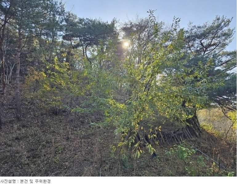 2023타경3859 경상북도 포항시 북구 신광면 냉수리 산88-1 임야 경매 이미지