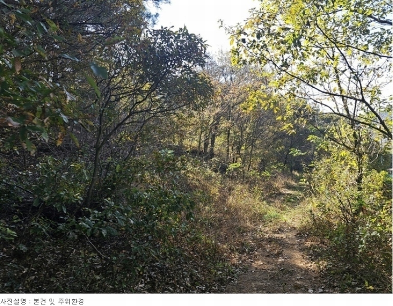 2023타경3859 경상북도 포항시 북구 신광면 냉수리 산88-1 임야 경매 이미지