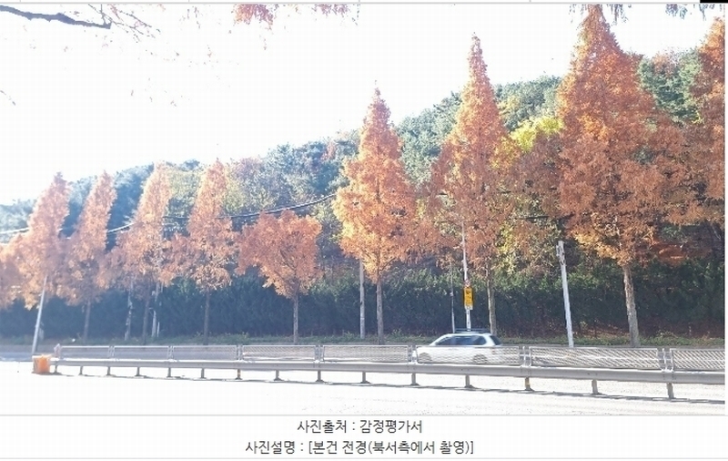 2024타경3832 경상북도 포항시 북구 우현동 산73-1 임야 경매 이미지