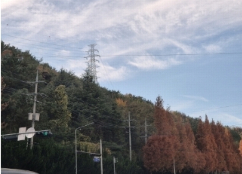 2024타경3832 경상북도 포항시 북구 우현동 산73-1 임야 경매 이미지