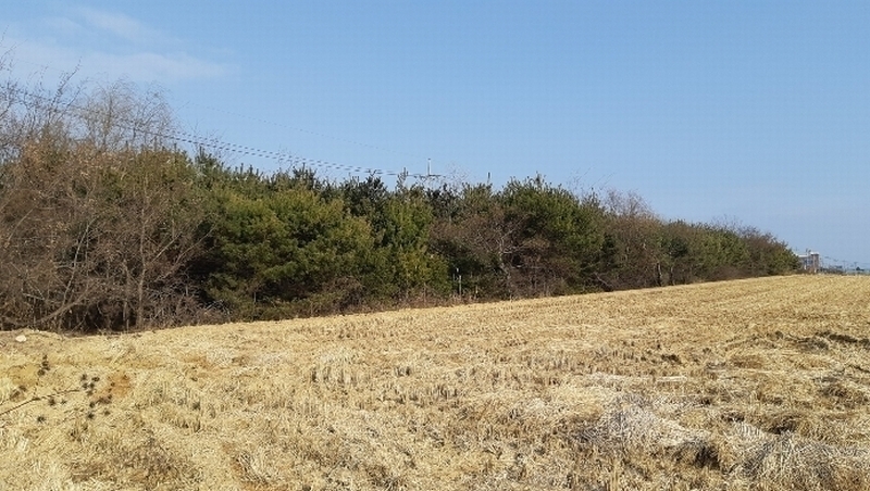 2024타경4736 경상북도 포항시 북구 청하면 필화리 590 농지 경매 이미지