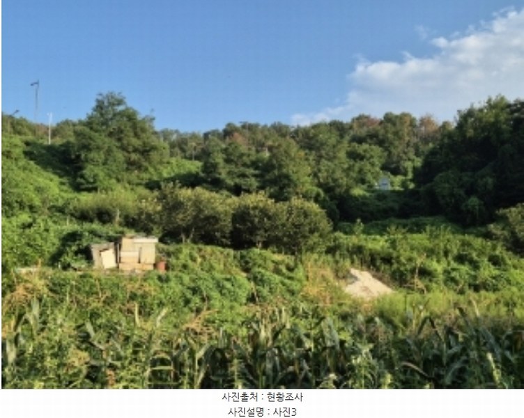 2024타경33895 경상북도 포항시 남구 동해면 약전리 87 농지 경매 이미지