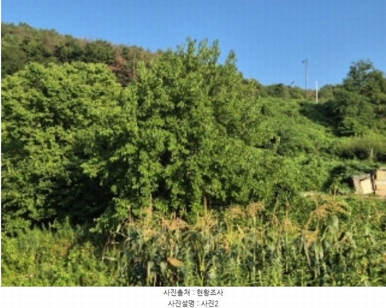 2024타경33895 경상북도 포항시 남구 동해면 약전리 87 농지 경매 이미지