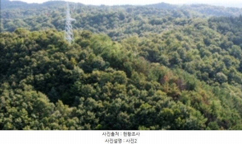 2024타경34249 경상북도 포항시 북구 우현동 산121 임야 경매 이미지