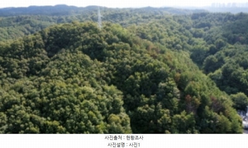 2024타경34249 경상북도 포항시 북구 우현동 산121 임야 경매 이미지
