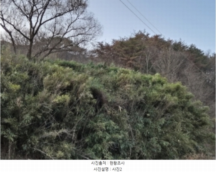 2024타경37286 경상북도 포항시 남구 장기면 대곡리 산31 임야 경매 이미지