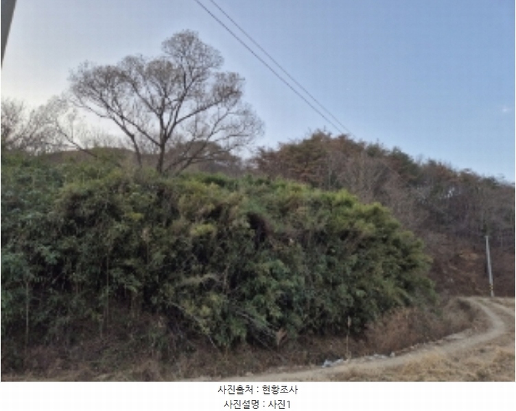 2024타경37286 경상북도 포항시 남구 장기면 대곡리 산31 임야 경매 이미지
