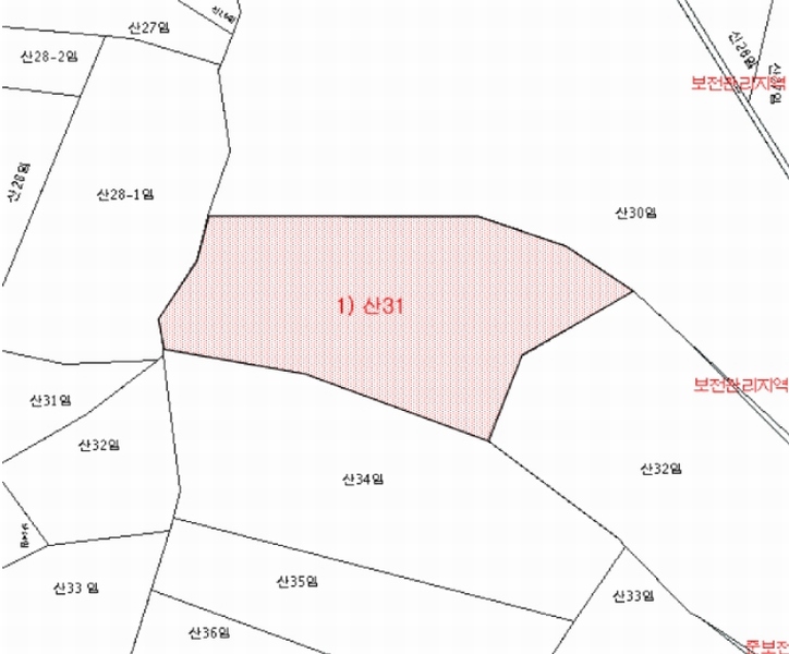 2024타경37286 경상북도 포항시 남구 장기면 대곡리 산31 임야 경매 이미지
