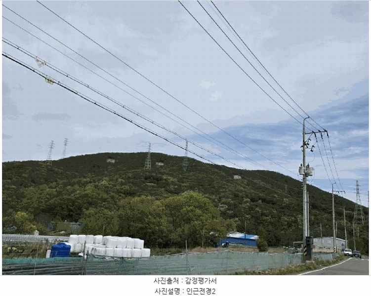 2024타경37286 경상북도 포항시 남구 장기면 대곡리 산31 임야 경매 이미지