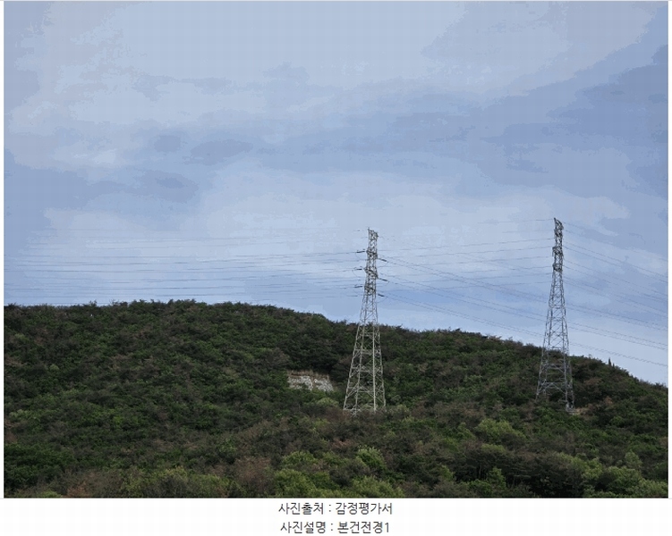 2024타경37286 경상북도 포항시 남구 장기면 대곡리 산31 임야 경매 이미지