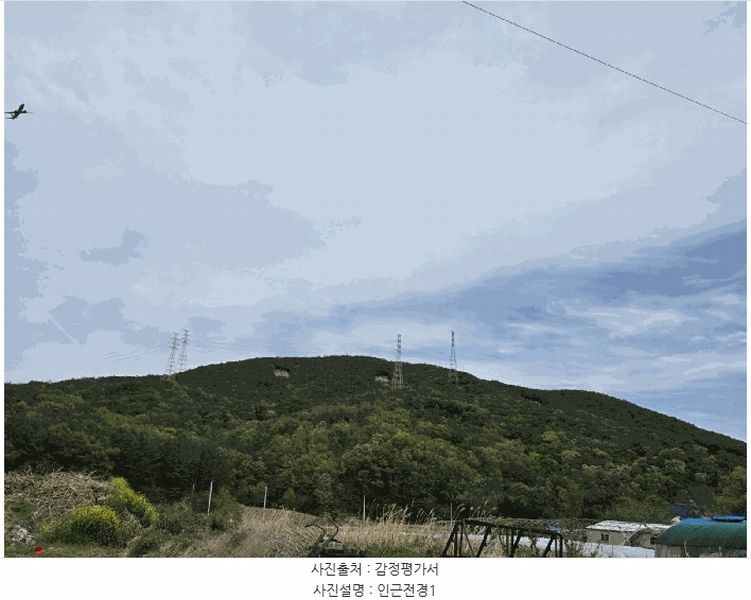2024타경37286 경상북도 포항시 남구 장기면 대곡리 산31 임야 경매 이미지