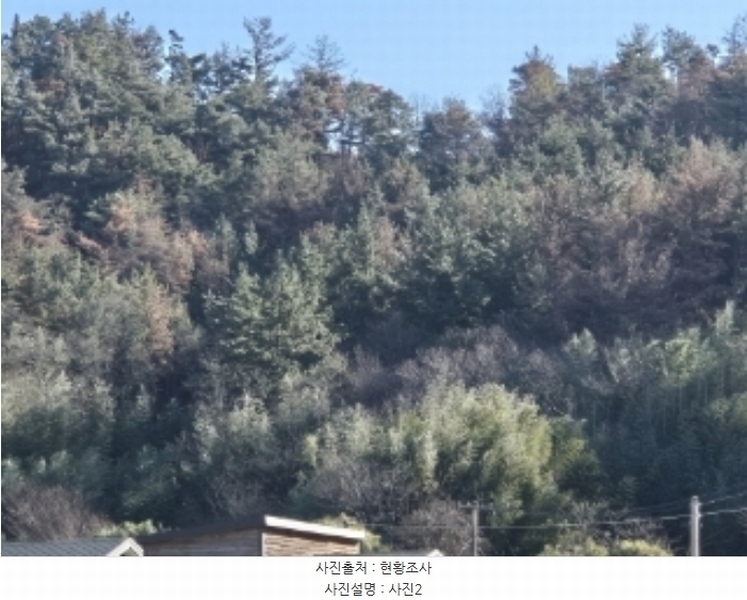2024타경37439 경상북도 포항시 북구 흥해읍 흥안리 산36-2 임야 경매 이미지