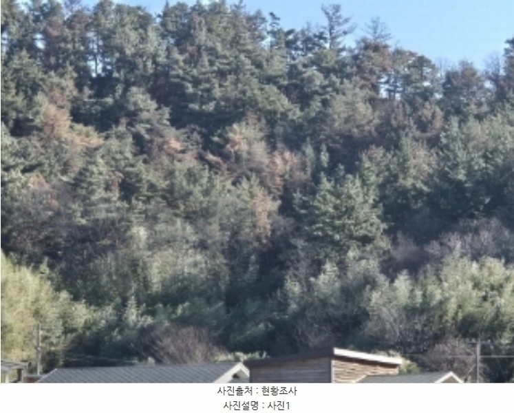 2024타경37439 경상북도 포항시 북구 흥해읍 흥안리 산36-2 임야 경매 이미지