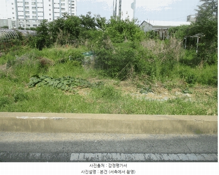 2025타경252 경상북도 포항시 남구 연일읍 오천리 176-2 농지 경매 이미지
