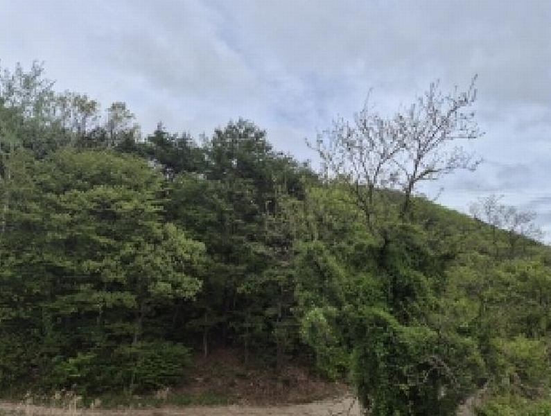 2025타경3639 경상북도 포항시 남구 오천읍 갈평리 산88 임야 경매 이미지