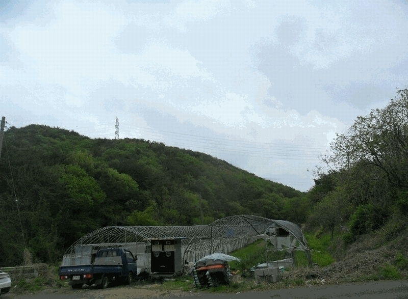2025타경3639 경상북도 포항시 남구 오천읍 갈평리 산88 임야 경매 이미지