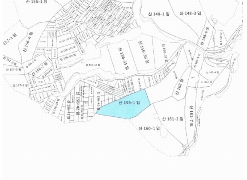 2025타경3684 경상북도 포항시 남구 오천읍 문덕리 산159-1 임야 경매 이미지