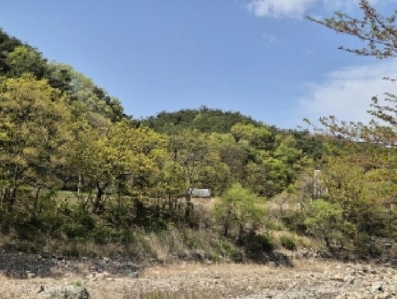 2025타경3684 경상북도 포항시 남구 오천읍 문덕리 산159-1 임야 경매 이미지
