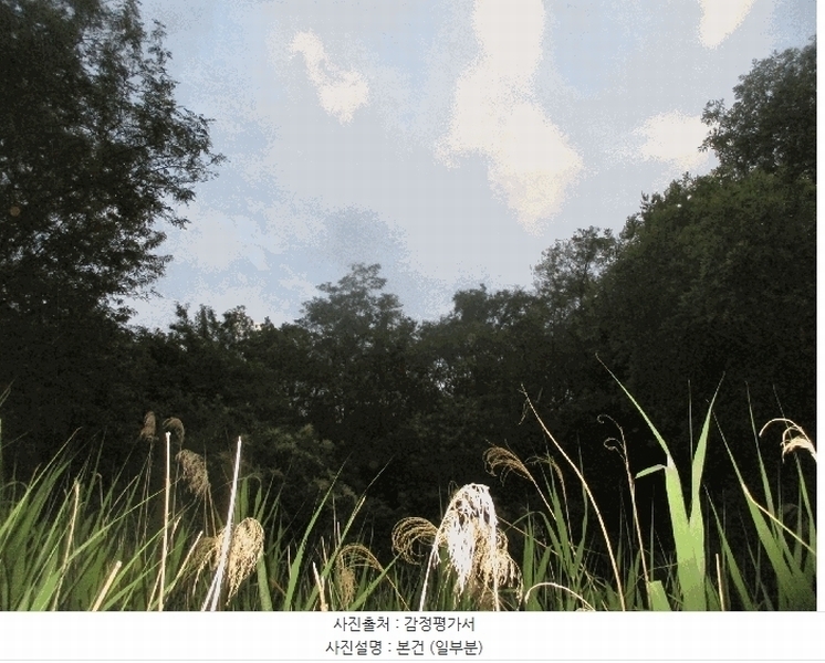 2025타경3684 경상북도 포항시 남구 오천읍 문덕리 산159-1 임야 경매 이미지
