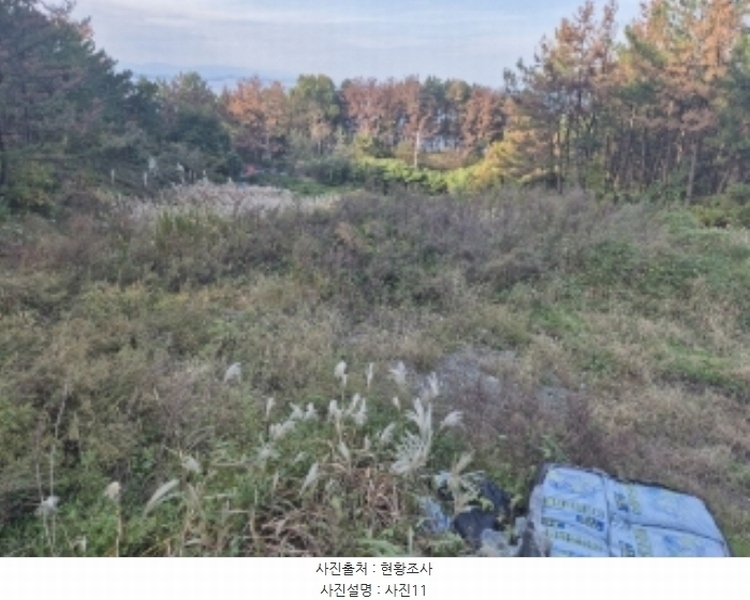 2024타경4026 경상북도 포항시 남구 동해면 마산리 235 농지 경매 이미지