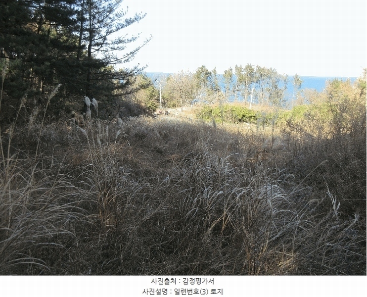 2024타경4026 경상북도 포항시 남구 동해면 마산리 235 농지 경매 이미지
