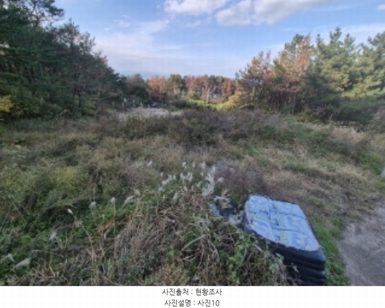 2024타경4026 경상북도 포항시 남구 동해면 마산리 235 농지 경매 이미지