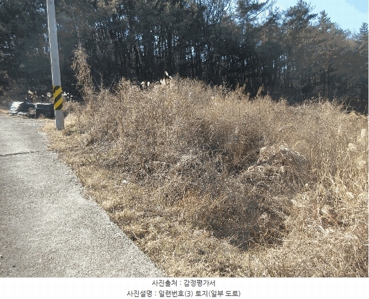 2024타경4026 경상북도 포항시 남구 동해면 마산리 235 농지 경매 이미지