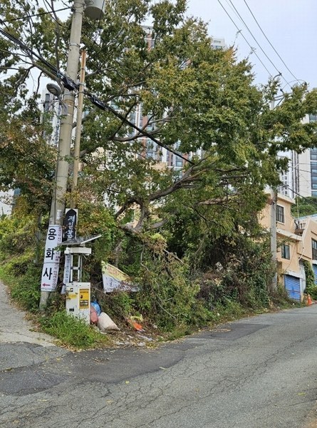 2024타경4545 부산광역시 사하구 구평동 산58-6 임야 경매 이미지